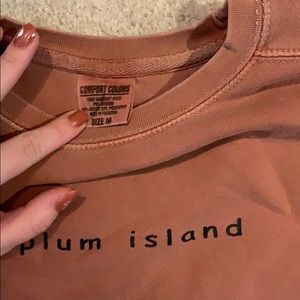 Comfort Colors Tops - Plum Island Sweatshirt Comfort Colors Tops - Plum Island Sweatshirt